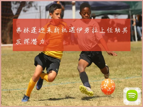 弗林蓬迎来新机遇伊劳拉上任助其发挥潜力