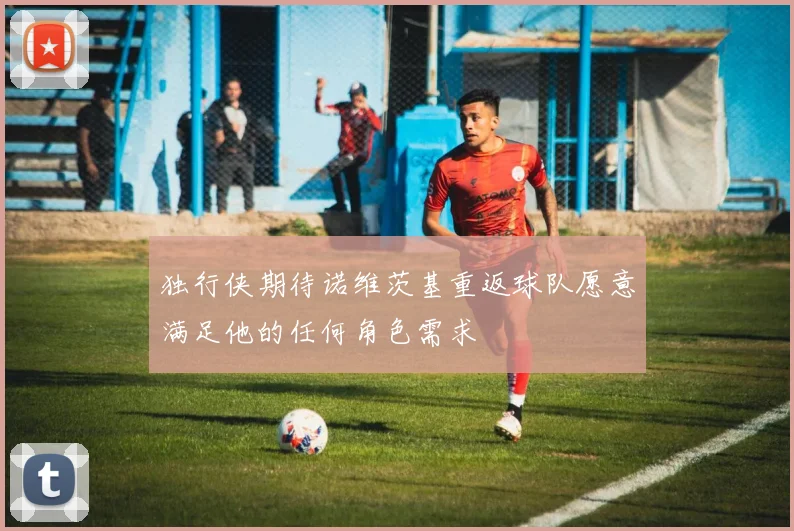 独行侠期待诺维茨基重返球队愿意满足他的任何角色需求